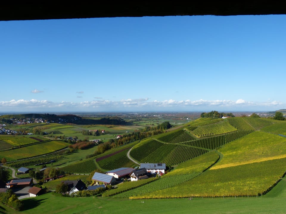 Hofansicht mit Blick in die Rheinebene Dilgerhof