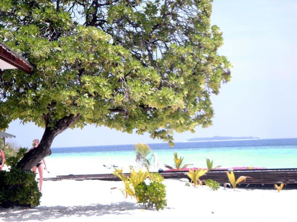 Strand Adaaran Select Meedhupparu Island Resort - Premium All Inclusive