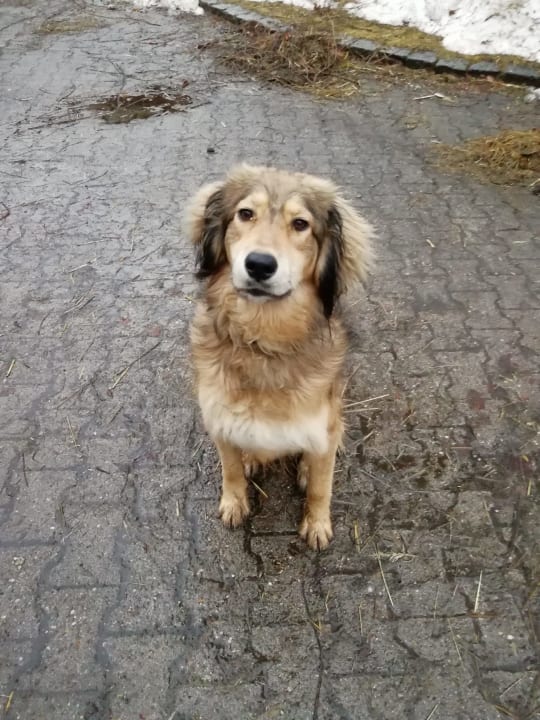 Sonstiges Ferienhof Dannerbauer