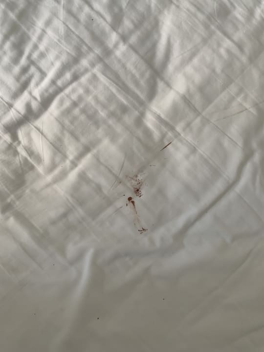 Zimmer Eftalia Ocean Resort & Spa