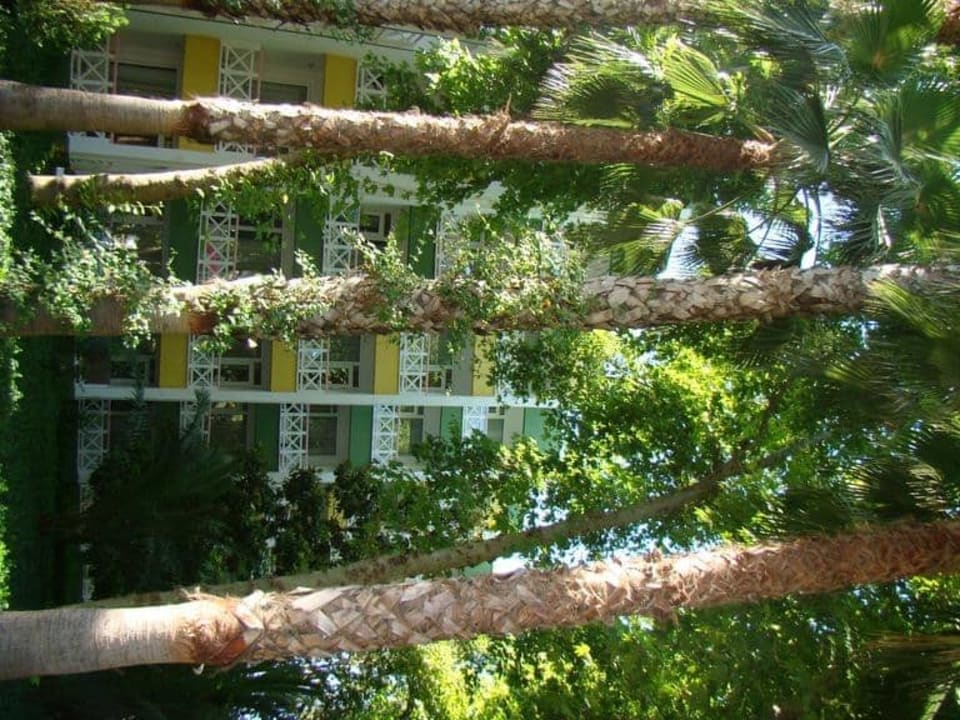 Растительность Botanik Hotel & Resort