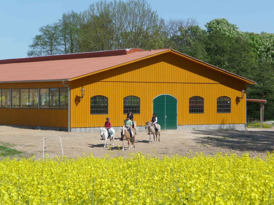 Reithalle  Ferien & Pferdehof Gut Klein Nienhagen