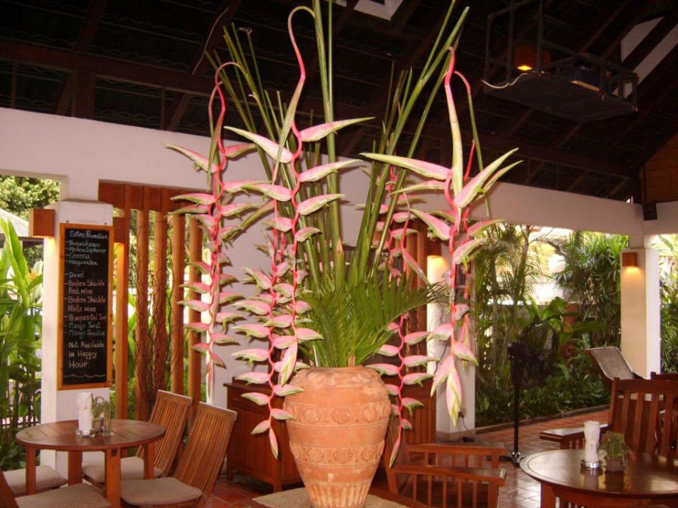 Lobby Bar Woodlands Hotel & Resort