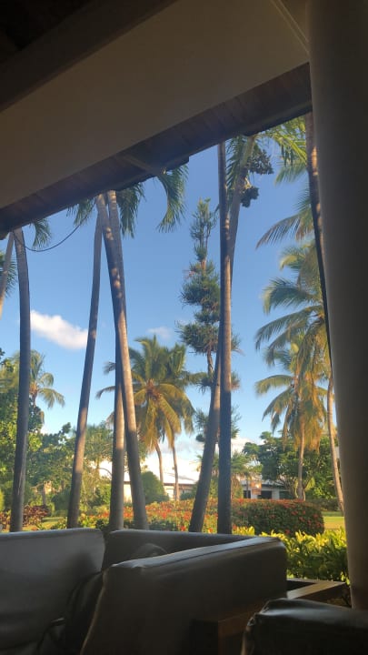 Zimmer Catalonia Punta Cana - All Inclusive