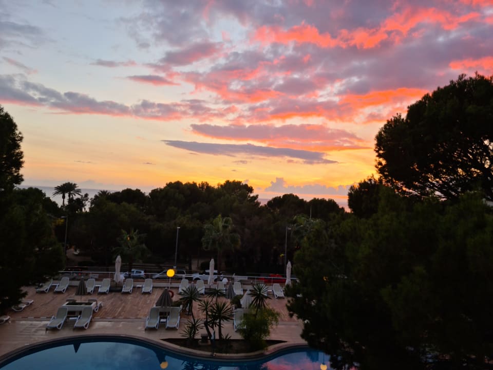 Zimmer Aparthotel Houm Plaza Son Rigo