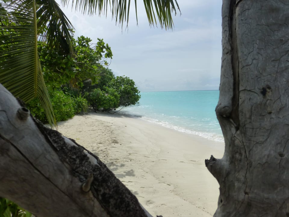 Lagunenseite Kuramathi Maldives