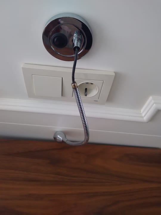 Zimmer Well Palace Side