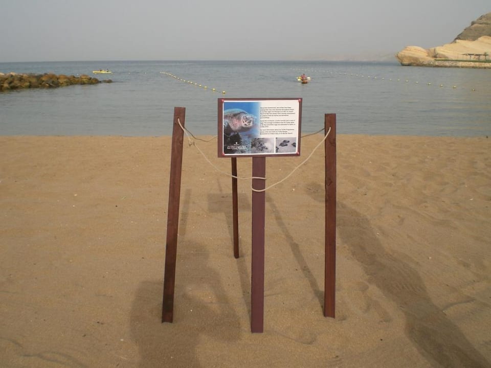 Schildkrötennest Shangri-La Barr Al Jissah Resort & Spa - Al Waha