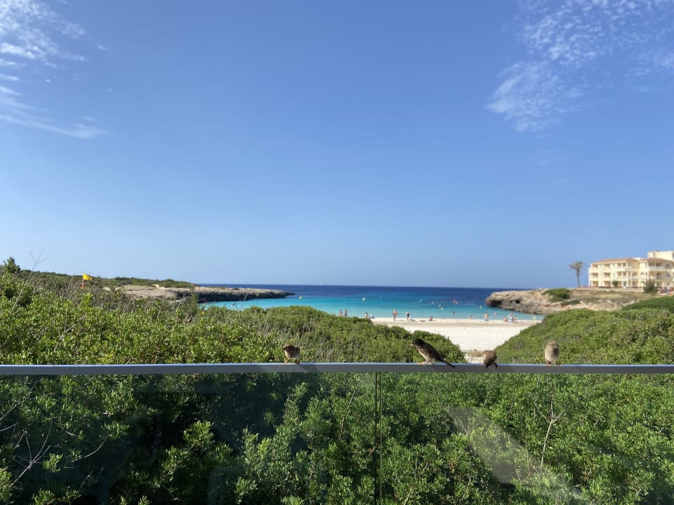 Außenansicht FERGUS Style Carema Beach