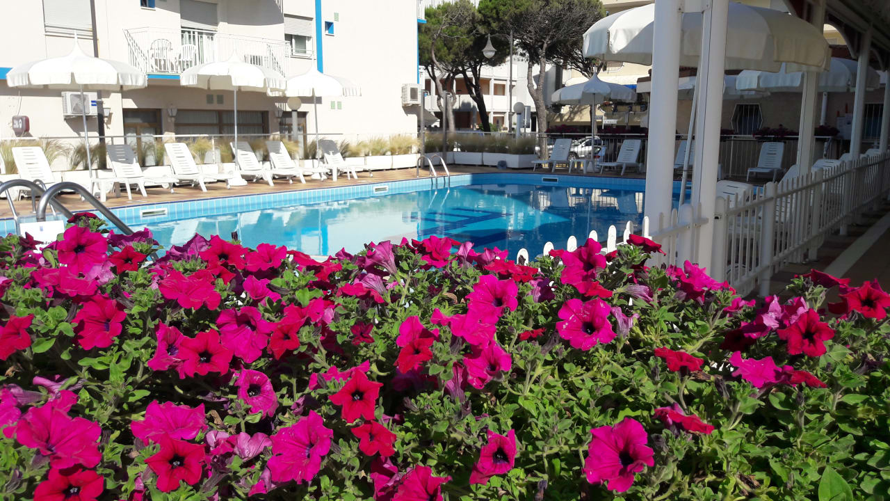 Pool Hotel Excelsior Caorle