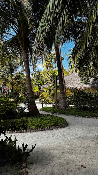Gartenanlage Meeru Maldives Resort Island