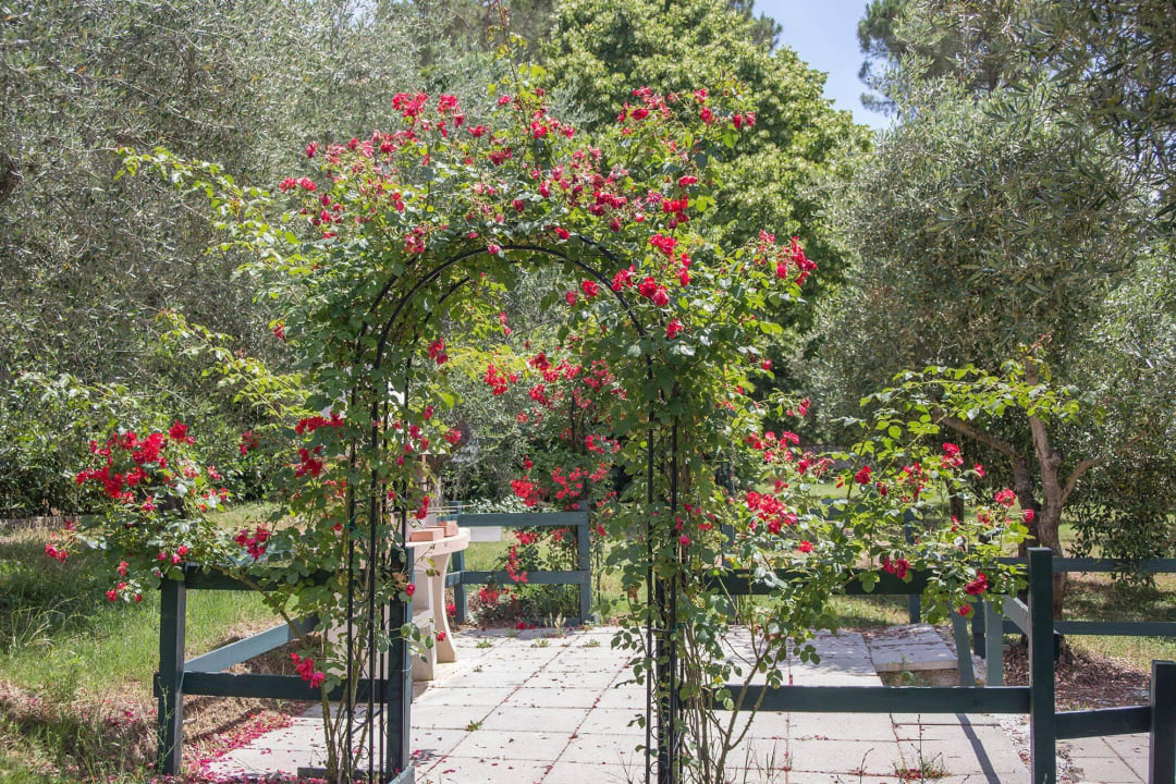 Esterno  case vacanze La Pergola