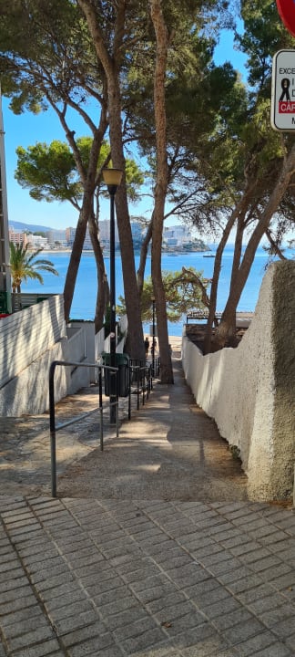Sonstiges Dreams Calvia Mallorca