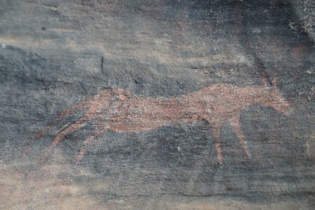 Sonstiges Ganora Guestfarm