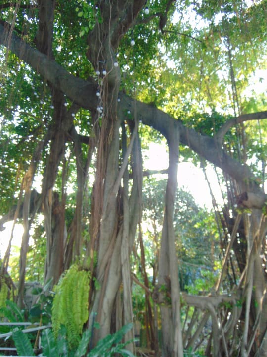 Gartenanlage Canalis Suvarnabhumi Airport Hotel