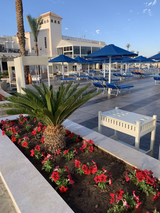 Sonstiges Pickalbatros Dana Beach Resort - Hurghada