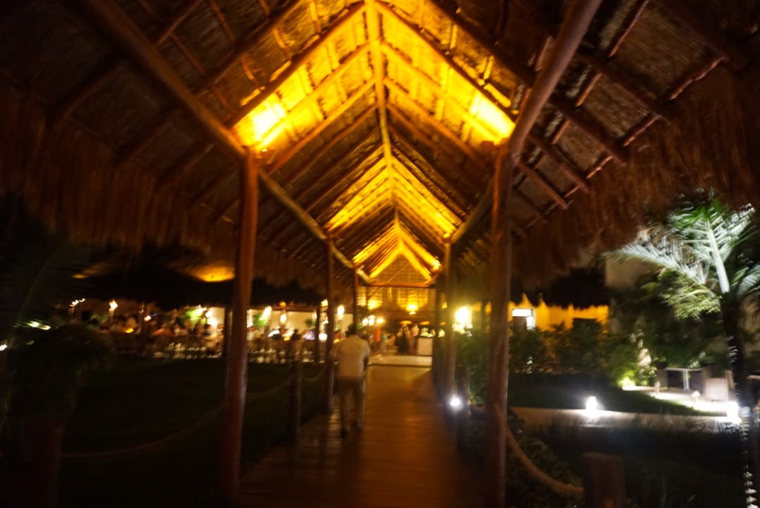 Gartenanlage Akumal Bay Beach & Wellness Resort