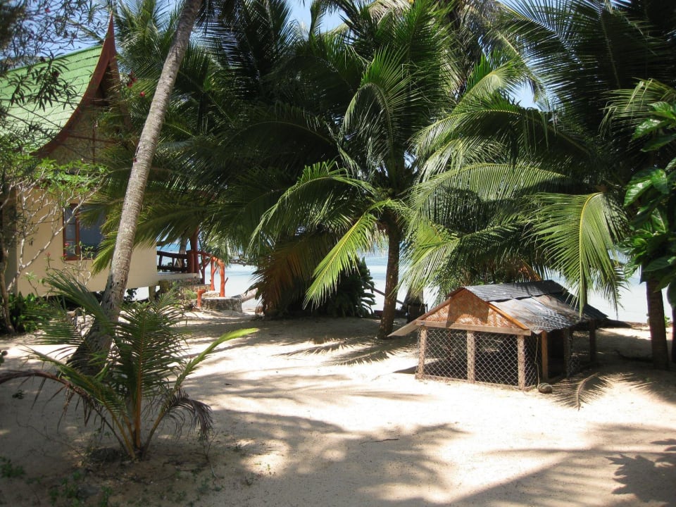 Die Gartenanlage Seaflower Bungalows