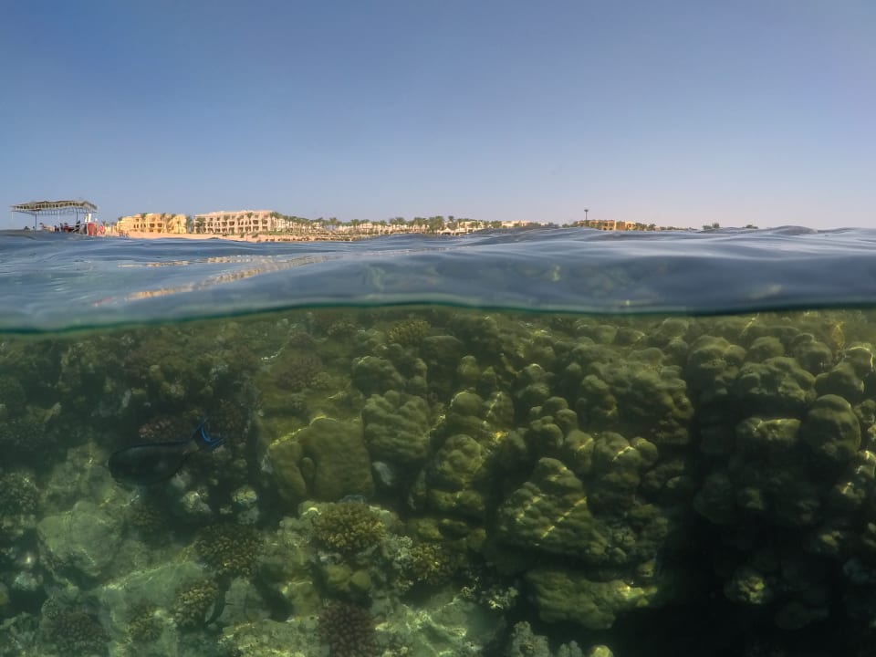 Strand Steigenberger Coraya Beach - Adults only