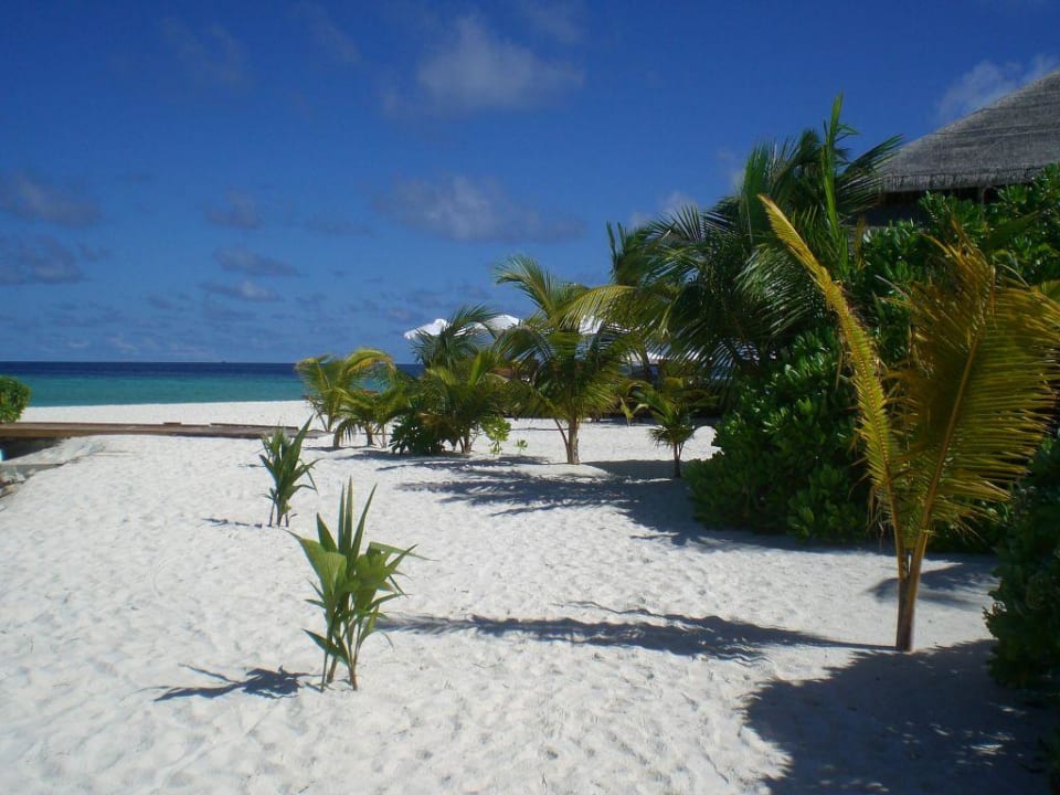Deluxstrand Filitheyo Island Resort