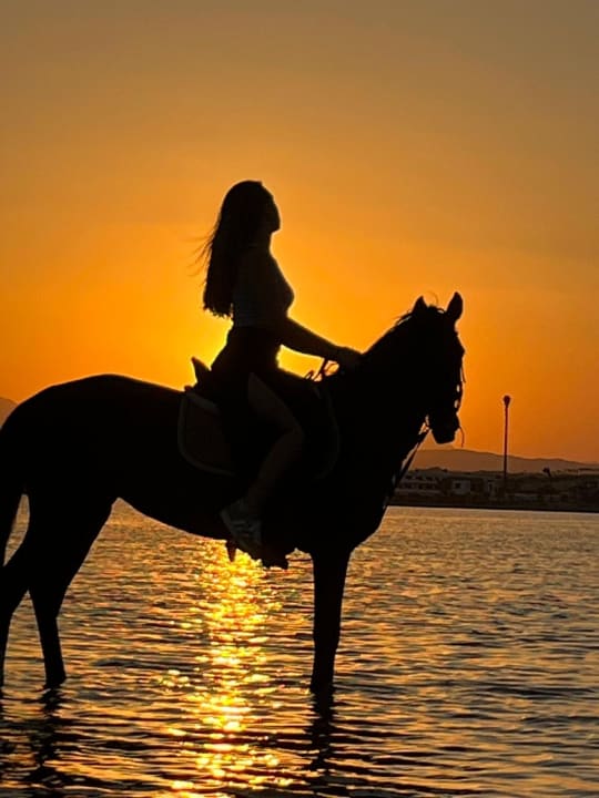 Sport & Freizeit ROBINSON SOMA BAY