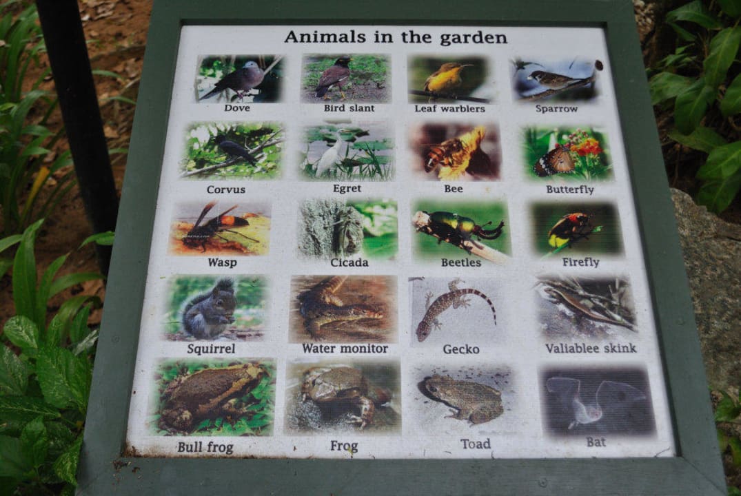 Khao Lak Merlin Resort Khao Lak Merlin Resort