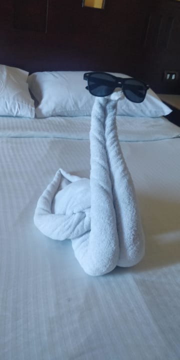 Zimmer Coral Sun Beach
