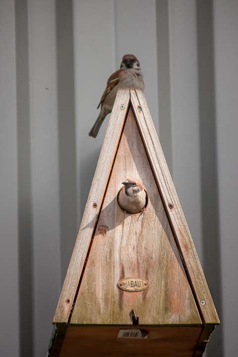 Sonstiges Apartment Hockmannshof