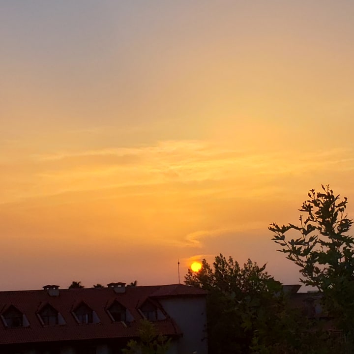 Ausblick Alba Queen Hotel