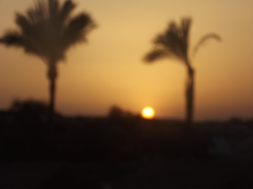 Ausblick Panorama Bungalows Resort El Gouna