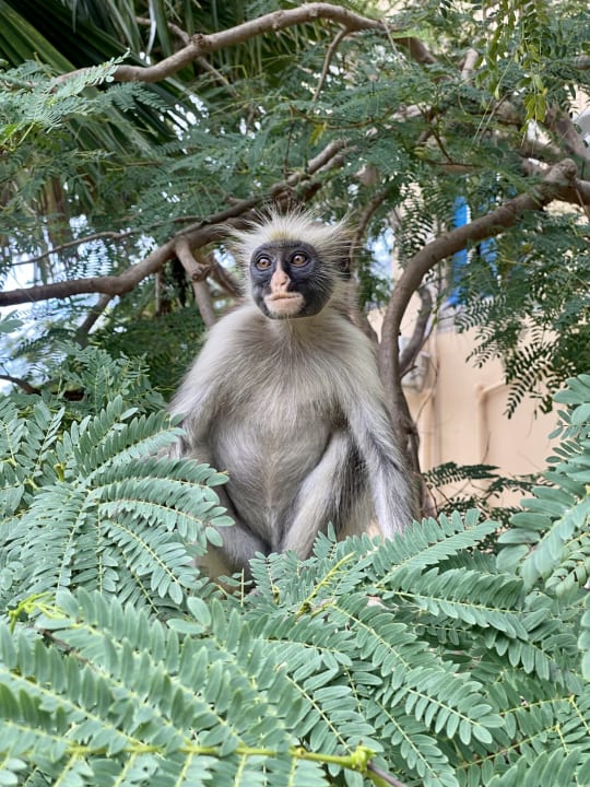 Sonstiges Reef & Beach Resort