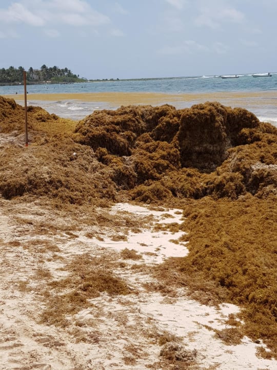 Strand Akumal Bay Beach & Wellness Resort