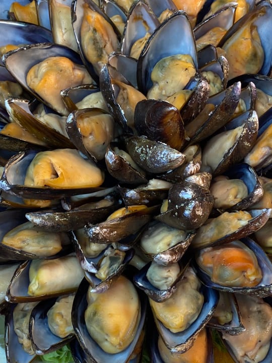 Gastro Bull Costa Canaria & Spa - Adults only