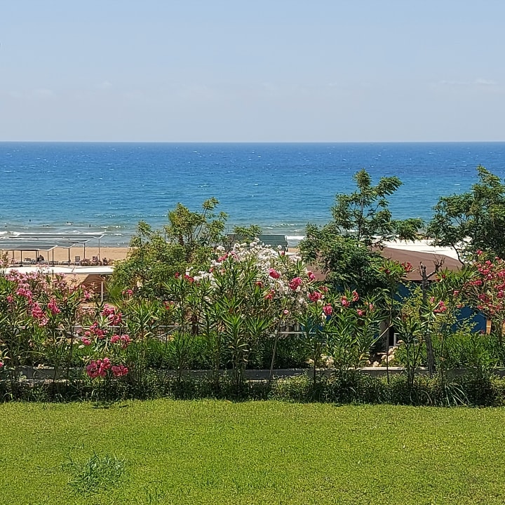 Gartenanlage FUN&SUN Smart Hane Sun Hotel