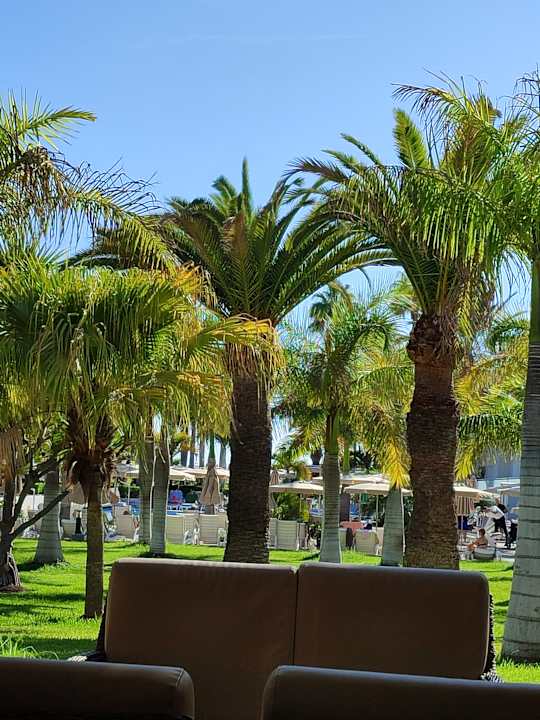 Gastro Hotel Riu Palace Meloneras