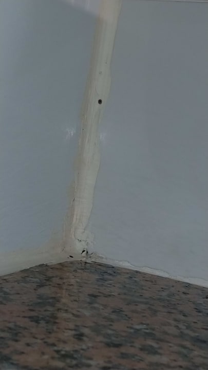 Zimmer allsun Hotel Cristóbal Colón