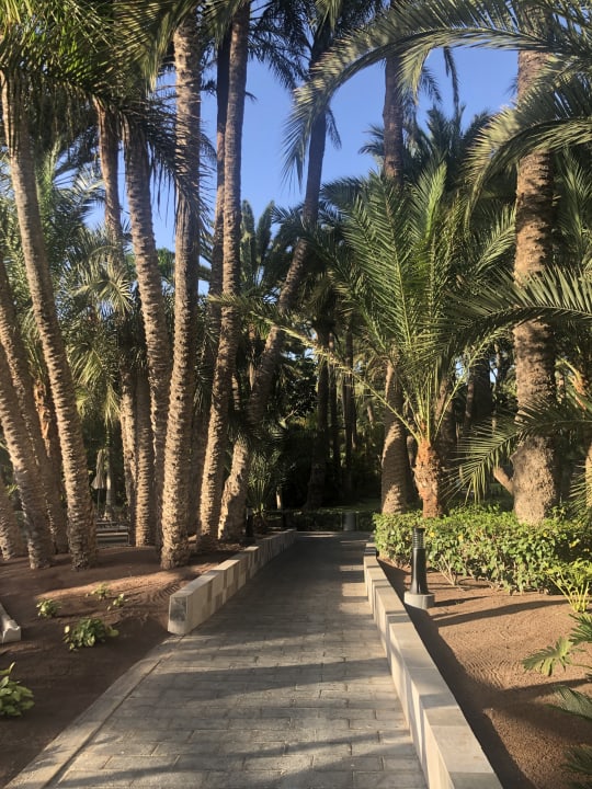 Gartenanlage Hotel Riu Palace Oasis