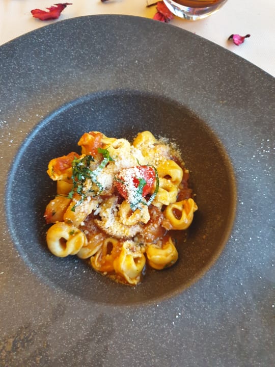 Gastro Adalya Elite Lara