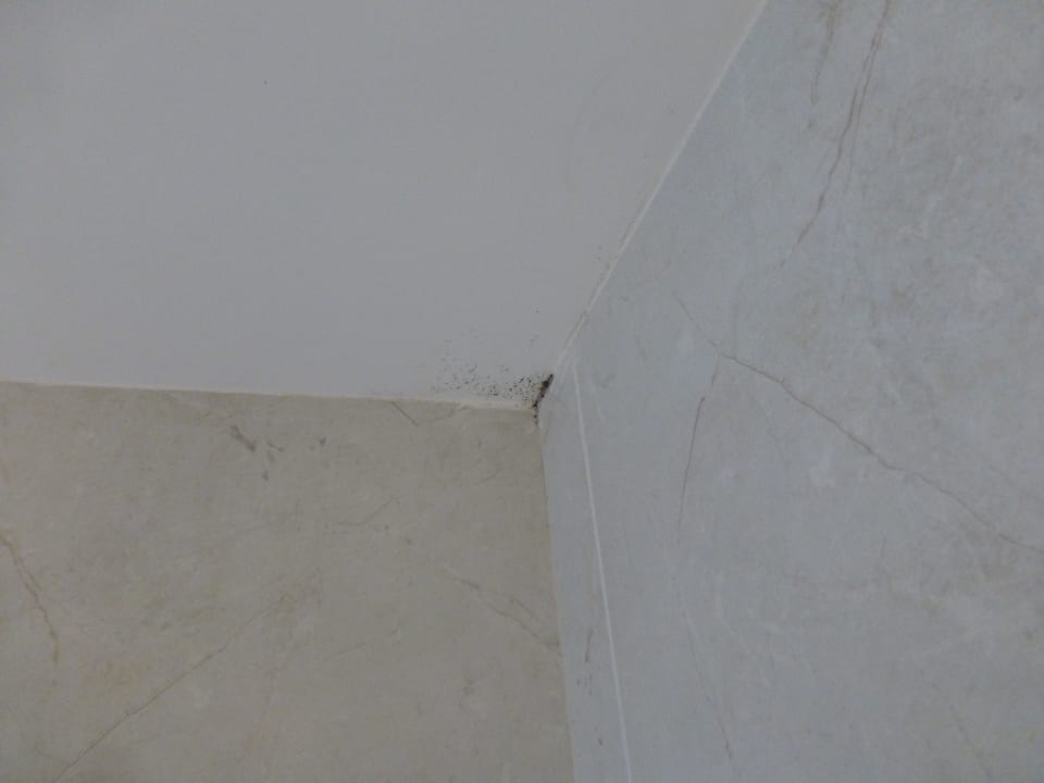 App. 2112: schwarzer Schimmel allsun App.-Hotel Esquinzo Beach