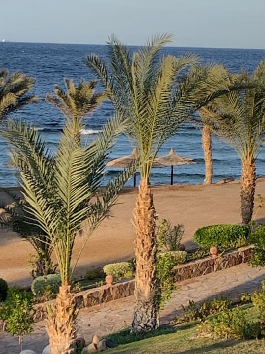 Strand Coral Sun Beach