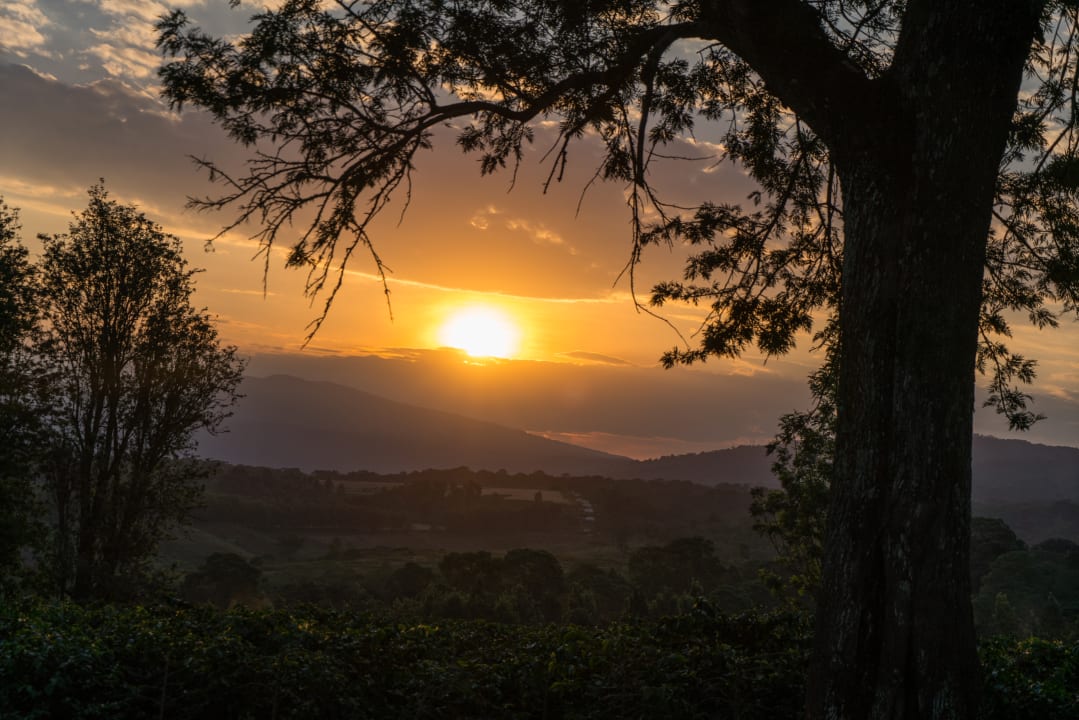 Ausblick Hotel The Manor At Ngorongoro
