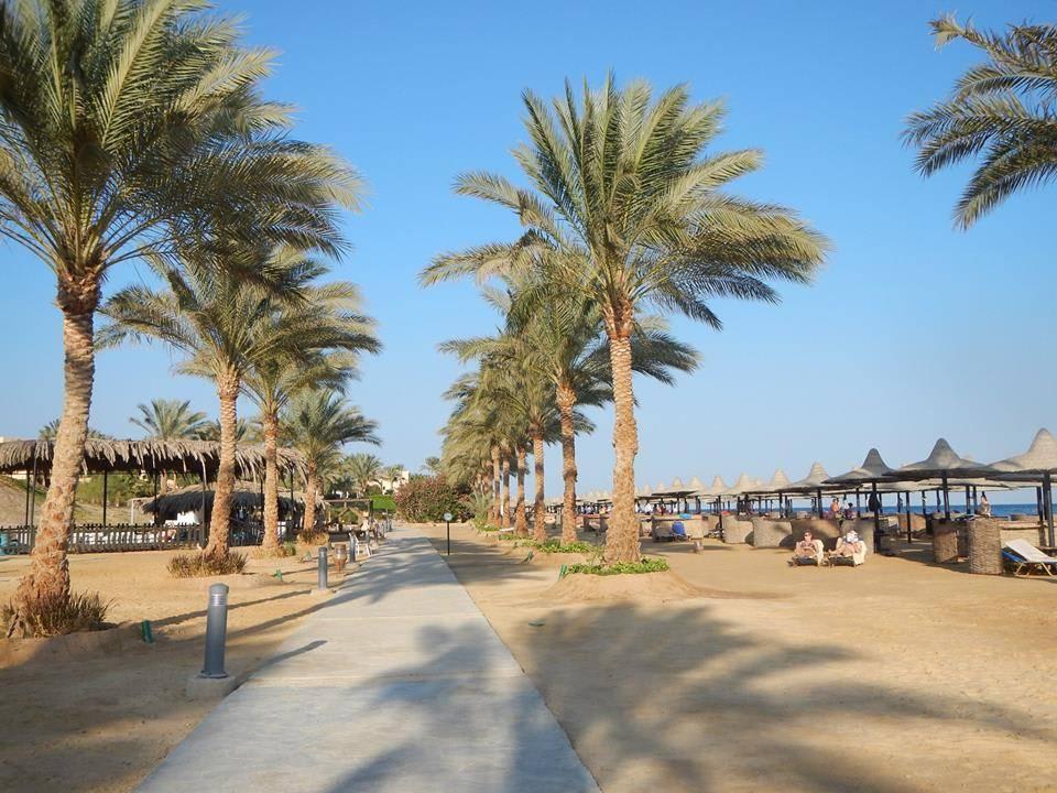 Sport und Wanderweg entlang des Strandes Steigenberger Coraya Beach - Adults only