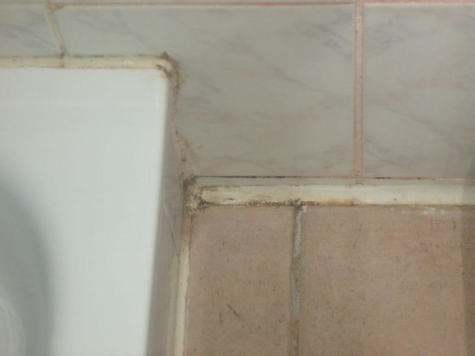 Schimmel im Badezimmer Ferienwohnungen Ferienpark Weissenhäuser Strand