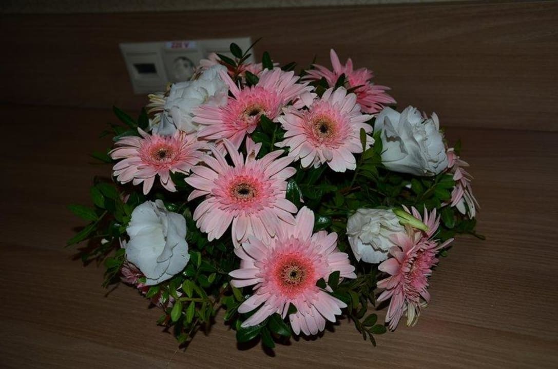 Kwiaty w pokoju Sueno Hotels Beach Side