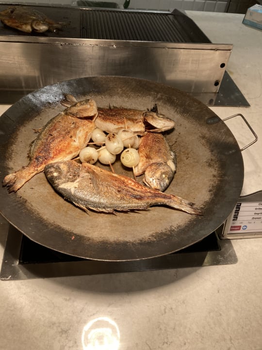 Gastro Acanthus Cennet Barut Collection