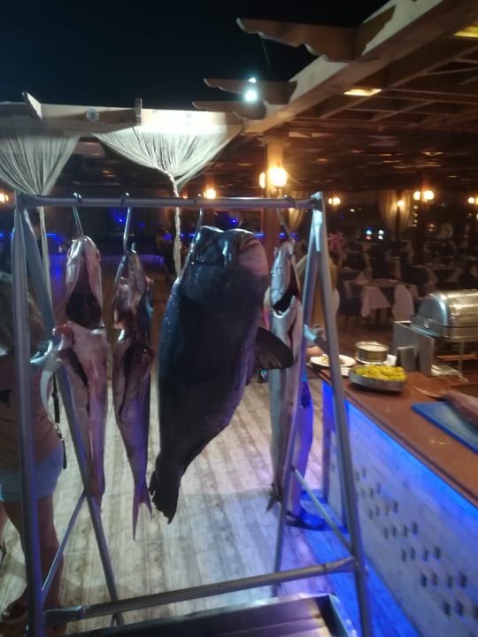 Gastro Fantazia Resort Marsa Alam