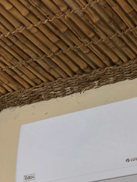 Zimmer Okaukuejo Camp