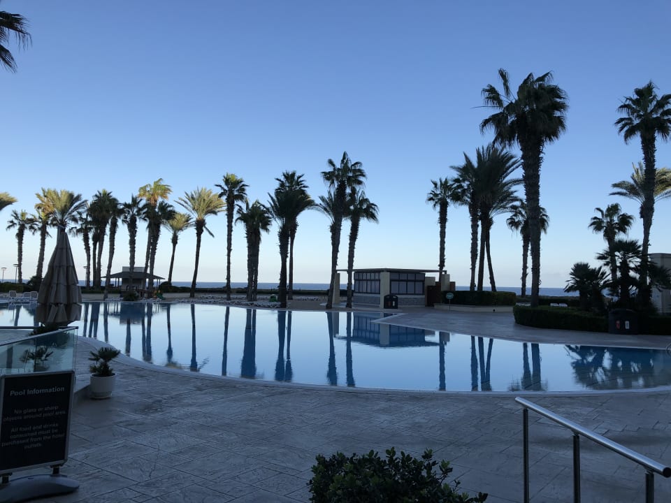 Pool Hilton Malta