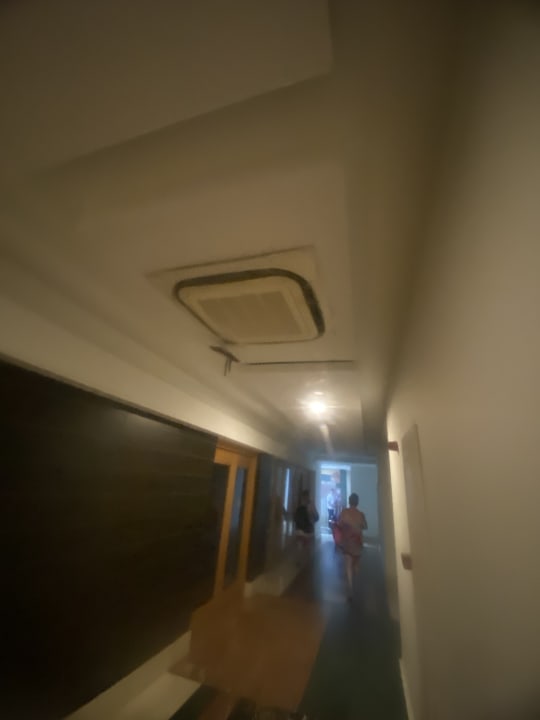 Sonstiges Well Palace Side