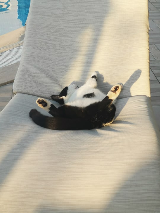 Sonstiges Labranda Alantur Resort